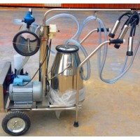 Milking machine for cow milking from direct factory